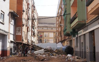 Día Mundial del Suelo – El papel de la microbiota en el lodo de Valencia tras la DANA