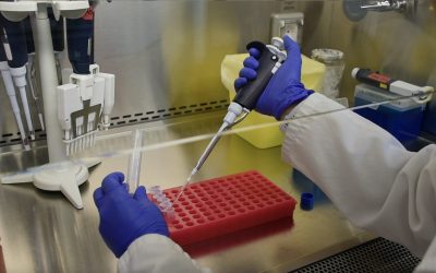 16 junio: Día Internacional de la Biotecnología