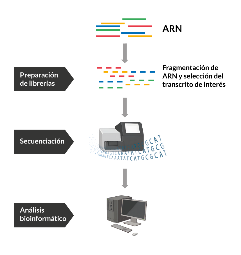 Transcriptómica RNA-seq
